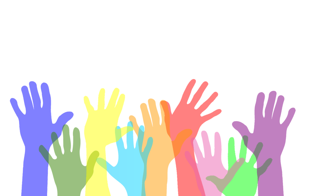 Corso di formazione Primi Passi nella Cittadinanza