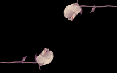 La storia dei terrorismi in Italia a scuola. Una proposta didattica