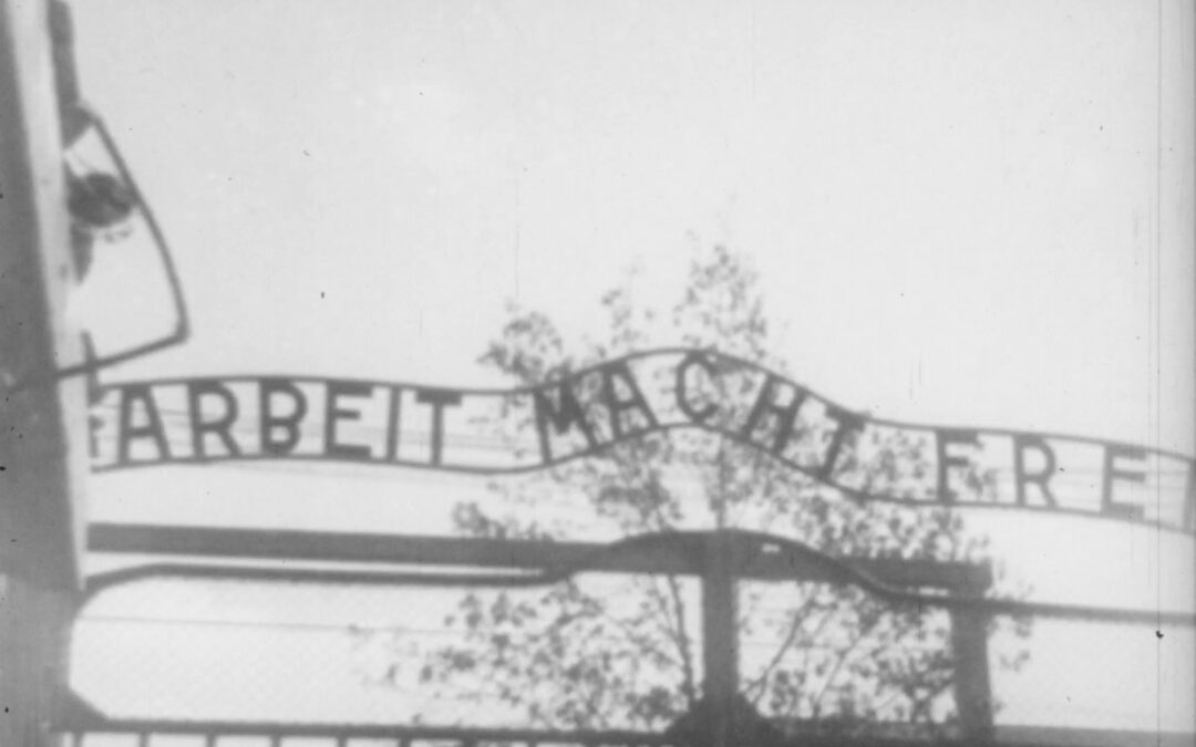 Tornare; mangiare; raccontare. 1945: Primo Levi e la liberazione di Auschwitz