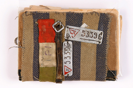 “Come astri spenti”. Scrivere dopo Auschwitz –  Biblioteca di Chieri – con A. Cavaglion e E. Manera