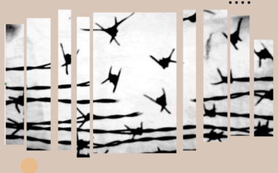 Riflessioni sulla Shoah e i genocidi nel XXI secolo Verso un approccio integrato della storia – seminario per insegnanti