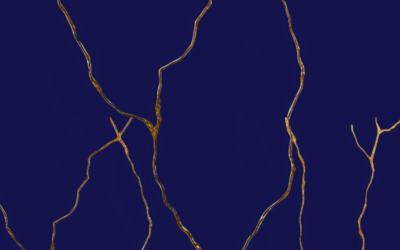 A. Mastromarino – La Costituzione a pezzi – presentazione del libro